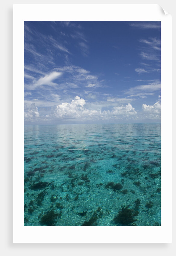 Calm Ocean Water in the Bahamas by Anonymous