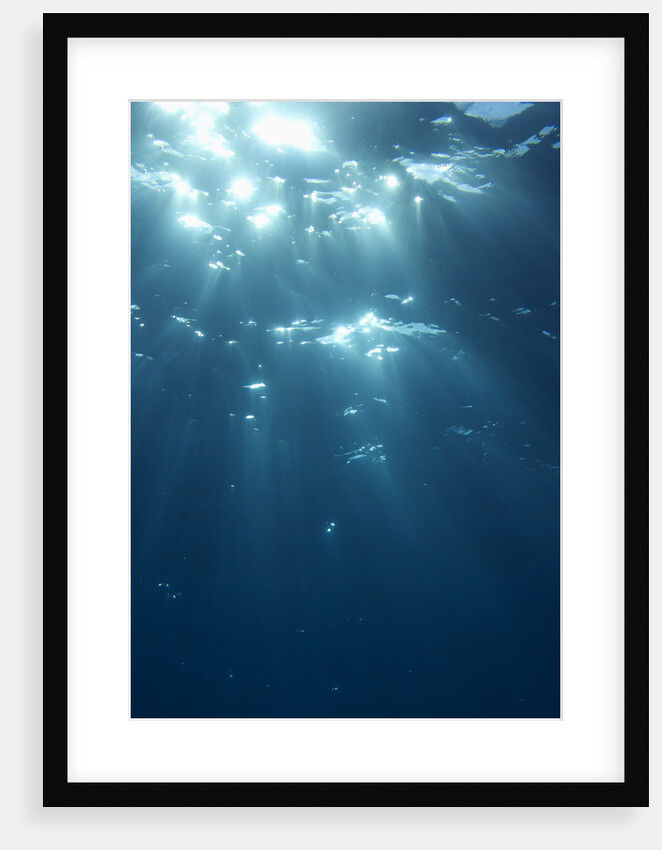 Sunbeams From Underwater by Anonymous
