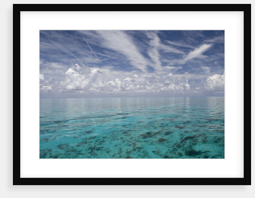 Calm Ocean Water in the Bahamas by Anonymous