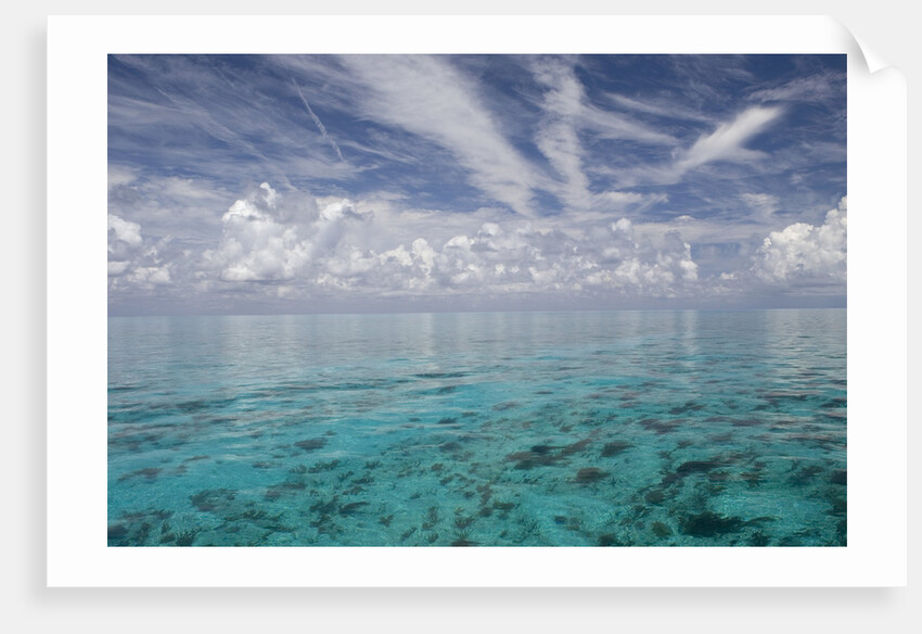 Calm Ocean Water in the Bahamas by Anonymous
