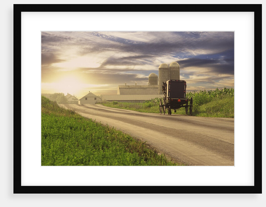 Amish Buggy on Road to Farm by Anonymous