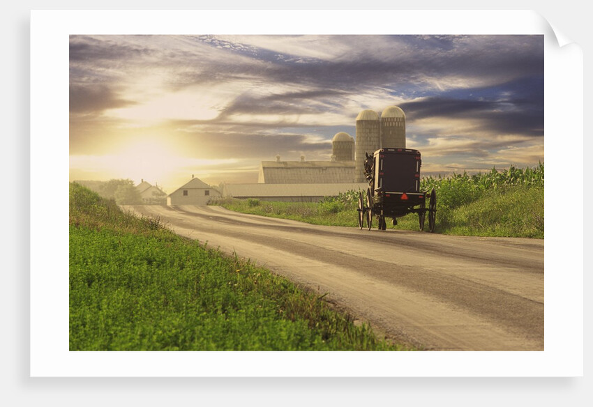 Amish Buggy on Road to Farm by Anonymous
