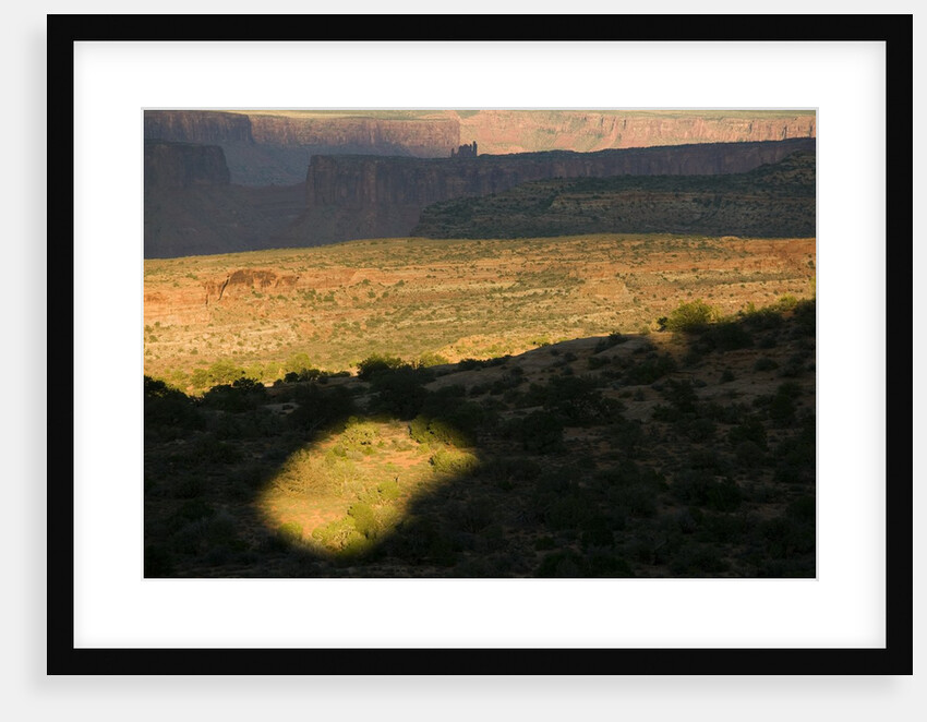 Arches National Park by Anonymous