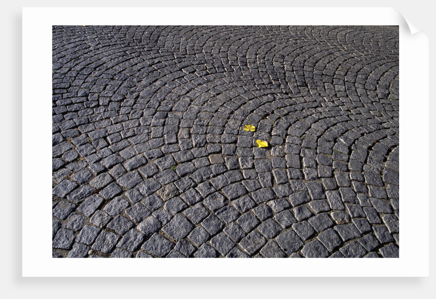 Patterned Cobblestones and Leaves by Anonymous