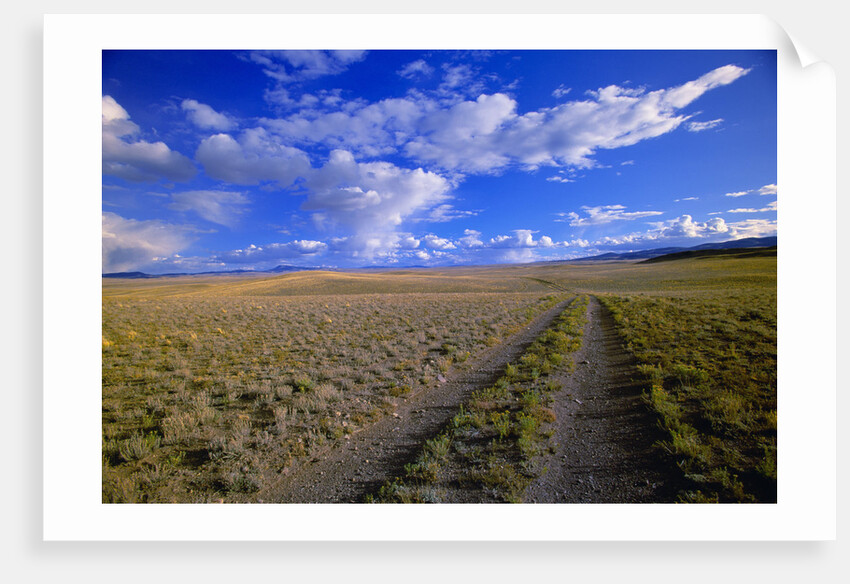 Ranch Road on Prairie by Anonymous