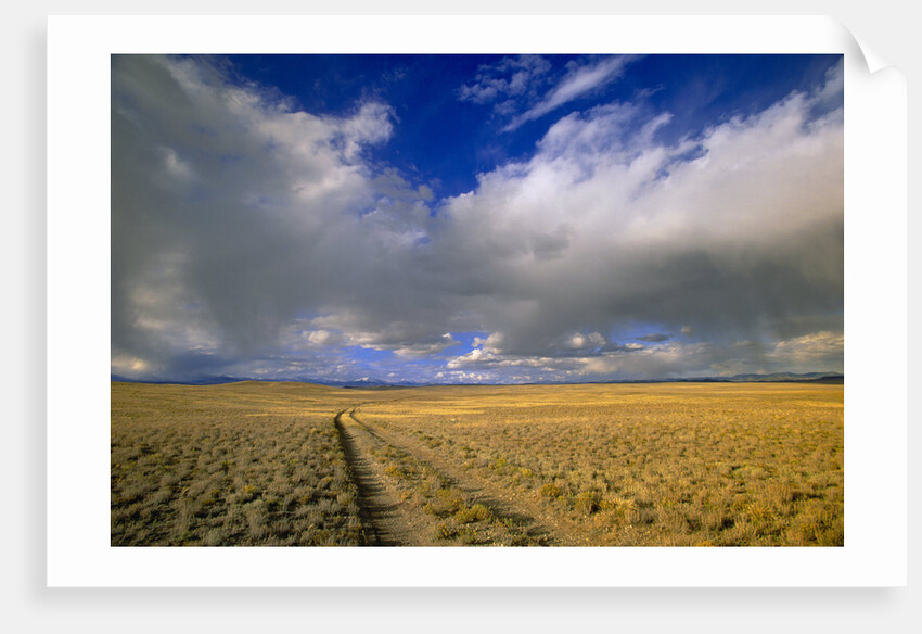Ranch Road and Clouds by Anonymous