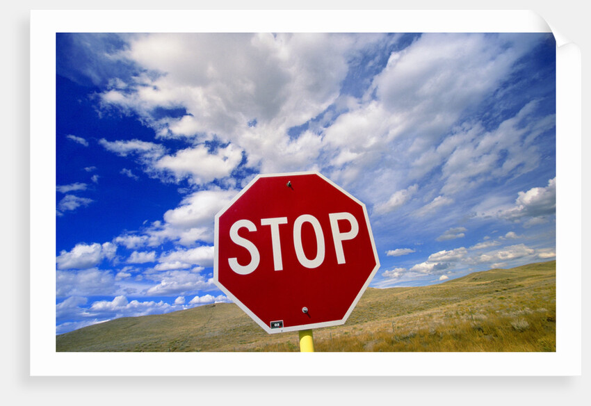 Stop Sign on Road Against Dramatic Sky by Anonymous