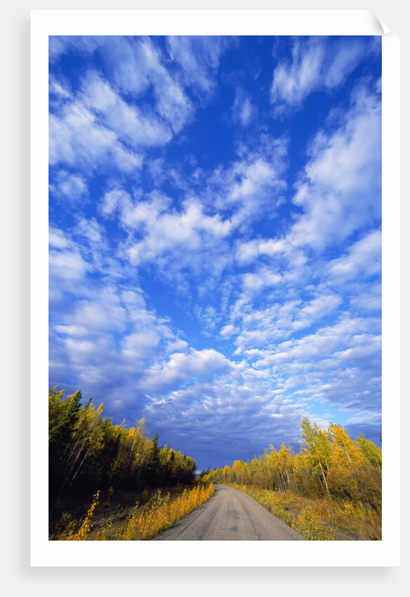 Gravel Road Under Dramatic Autumn Sky by Anonymous