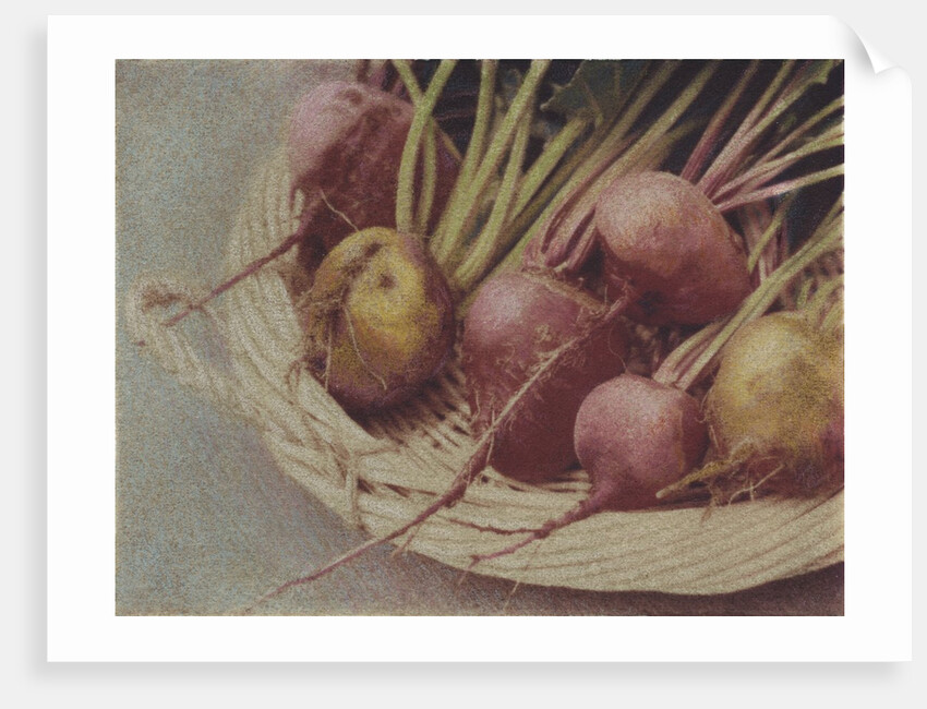 Kay's Beets by Jennifer Kennard