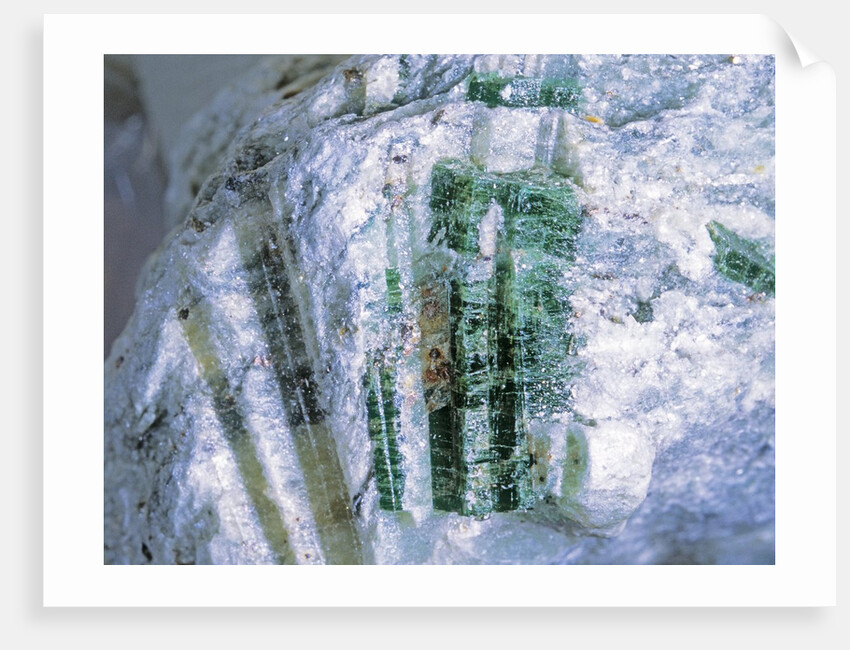 Actinolite by Anonymous