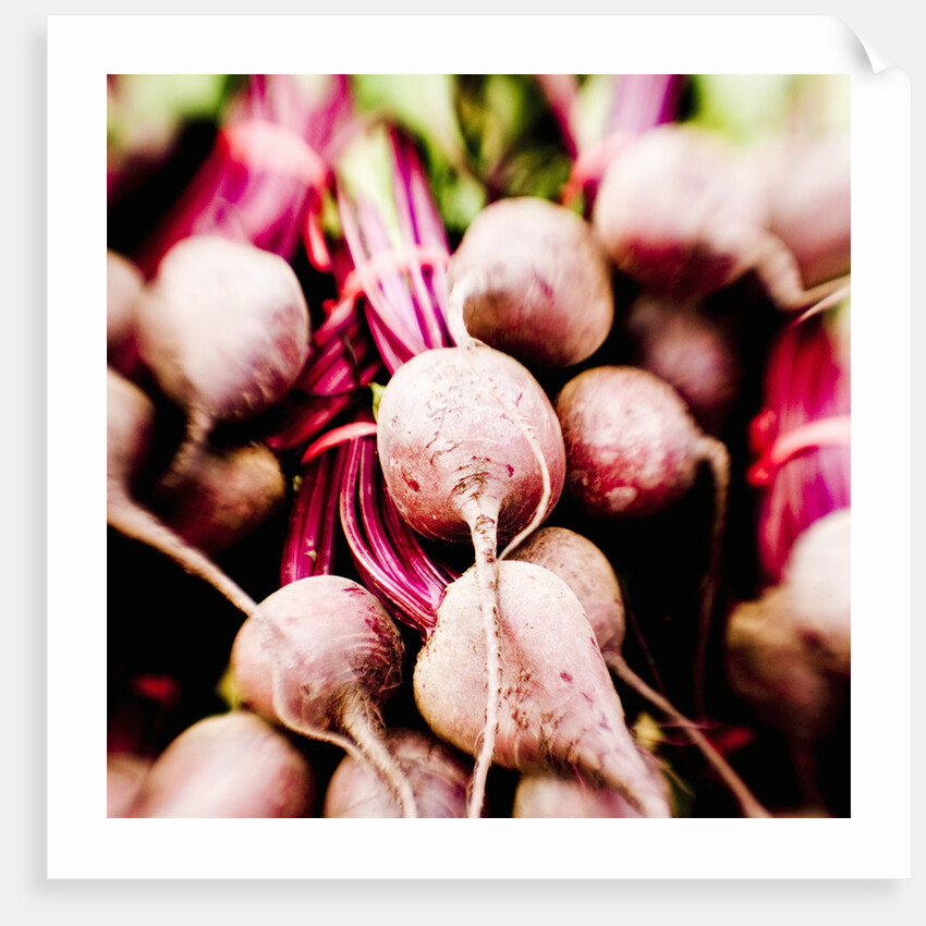 Fresh Organic Beets by Anonymous