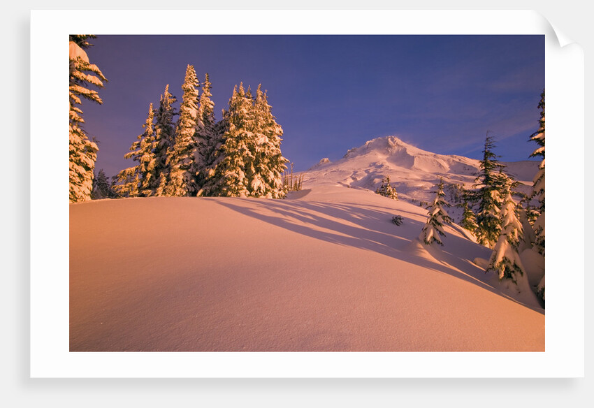 Sunrise on Mount Hood Timberline by Anonymous