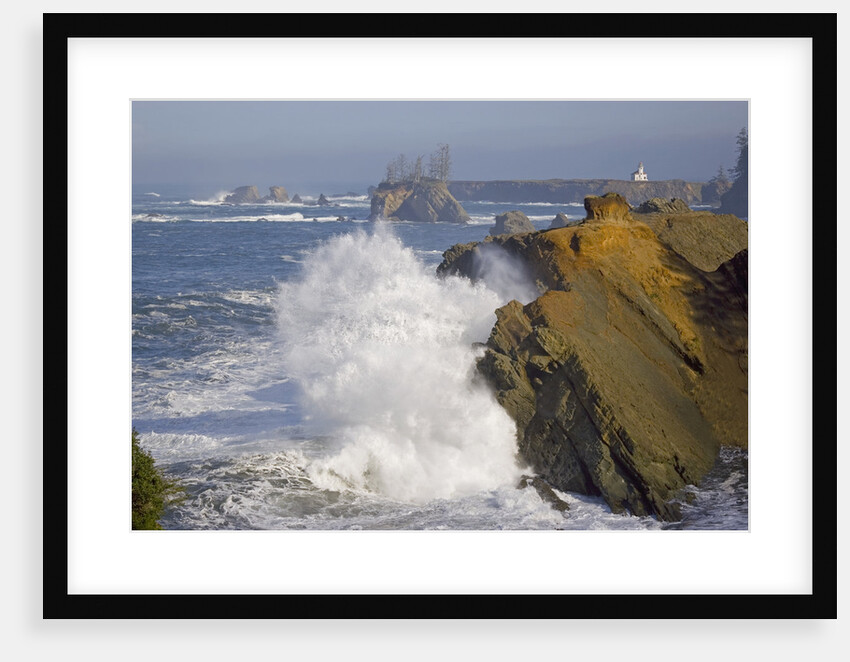 Roaring Surf by Anonymous