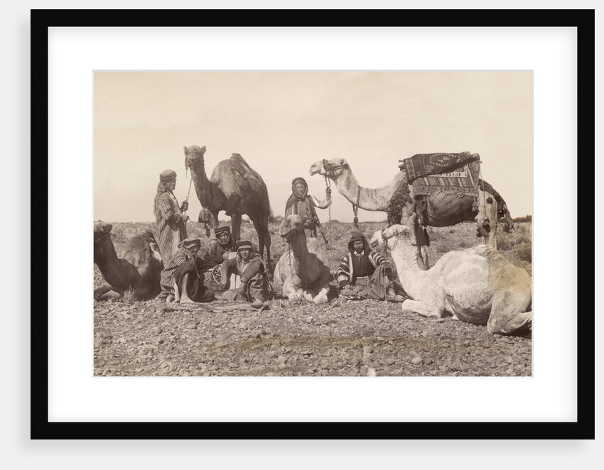 Bedouins Rest with Their Camels by Anonymous