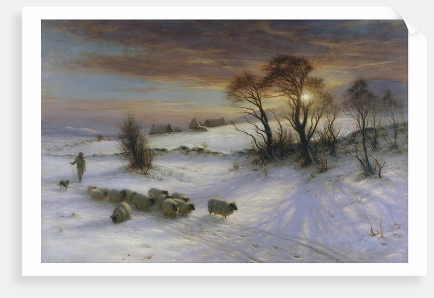 The Evening Glow posters & prints by Joseph Farquharson