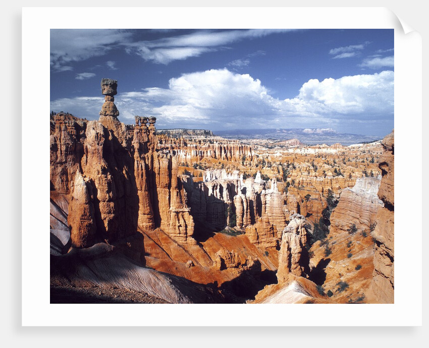Bryce Canyon, Utah by Anonymous
