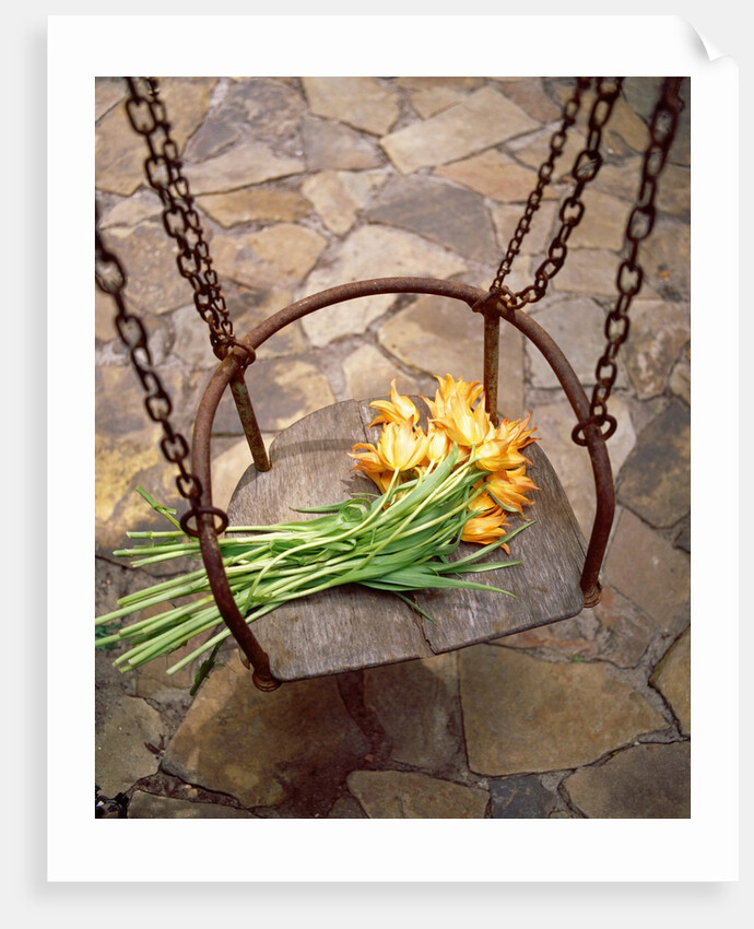 High angle view of a bunch of yellow flowers on the swing by Anonymous