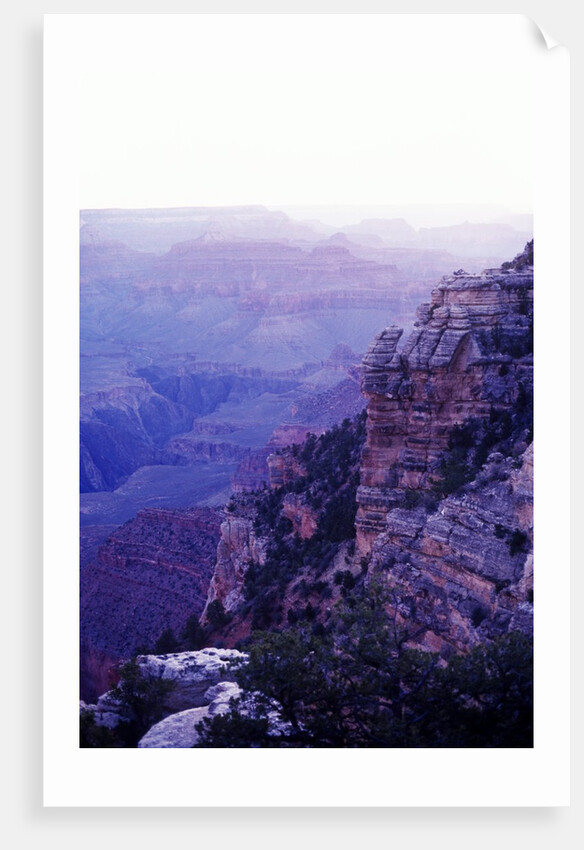 Sunset paints the Grand Canyon purple and mauve by Anonymous