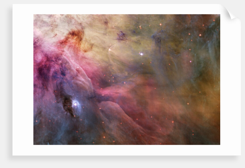 Gas and Dust in Orion Nebula by Anonymous