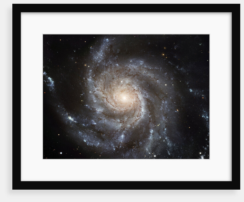 M101 Spiral Galaxy by Anonymous