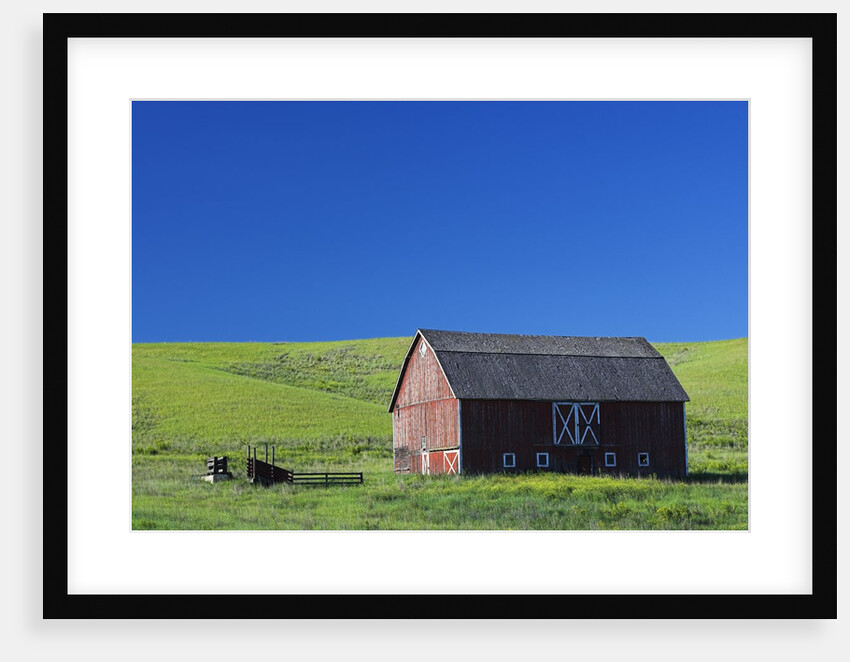 Barn Amongst Wheat Fields by Anonymous