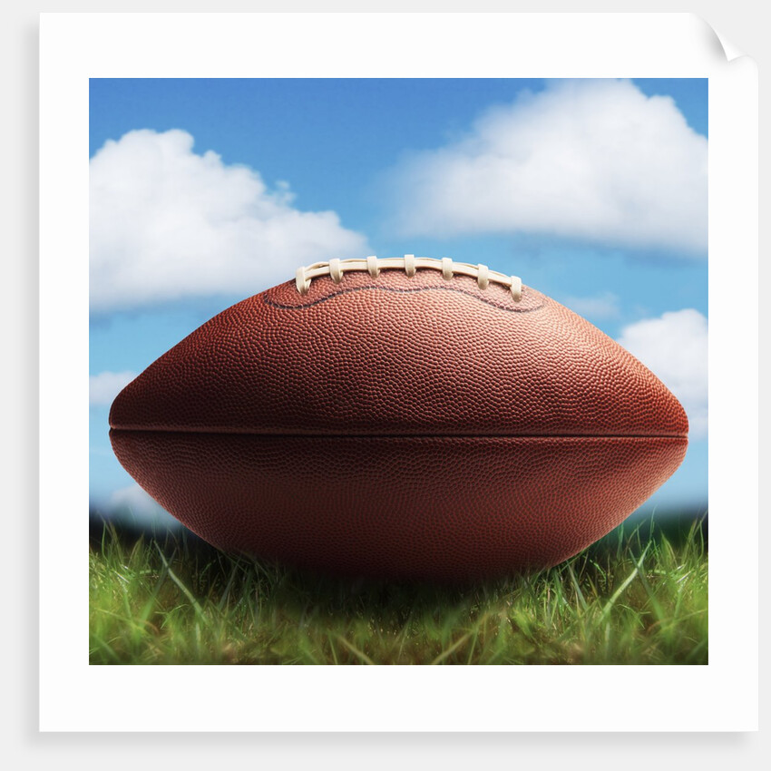 Football in Grass by Anonymous