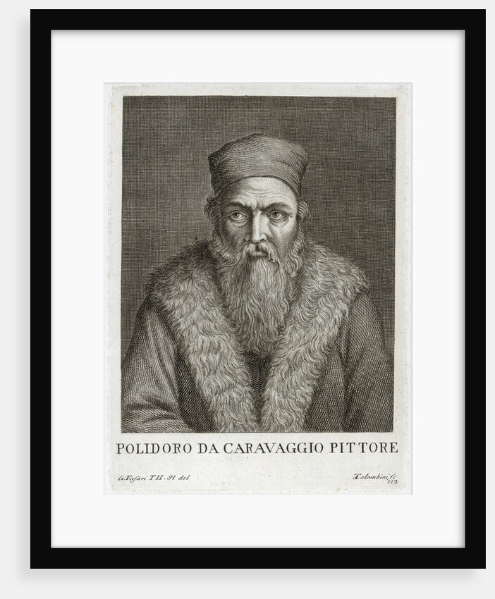 Portrait of Polidoro da Caravaggio by Anonymous