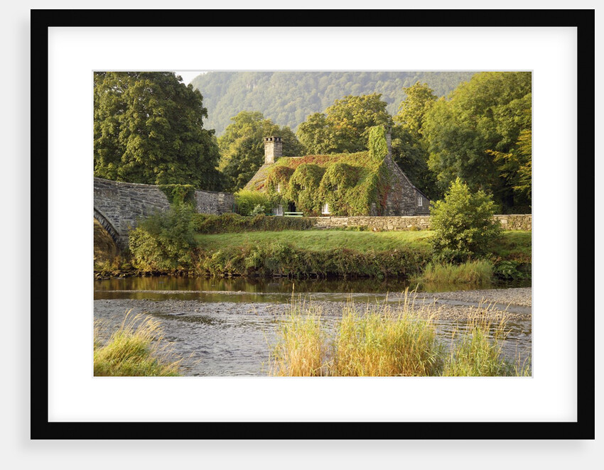 Vine-Covered Stone Cottage Near River Conwy by Anonymous