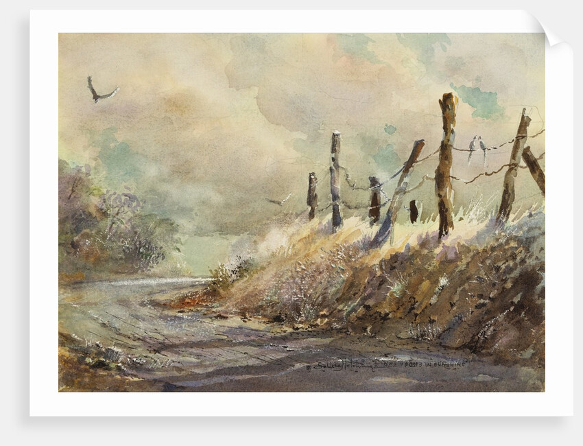 Posts in Sunshine by LaVere Hutchings