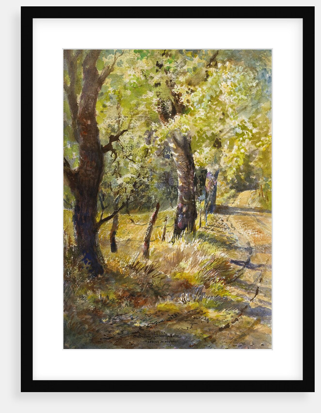 Spring at Dogtown by LaVere Hutchings