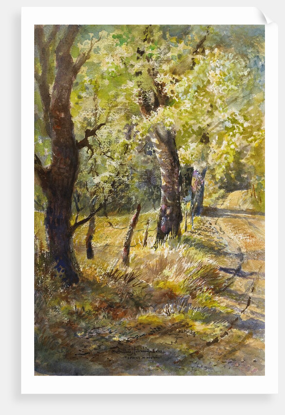 Spring at Dogtown by LaVere Hutchings