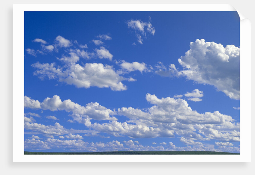 Cumulus Clouds Over Summer Tundra by Anonymous