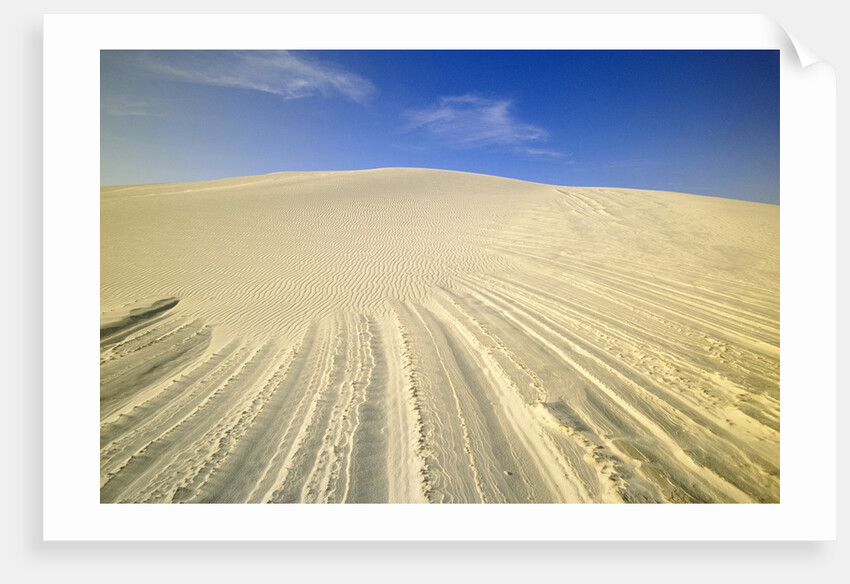 Wind Made Patterns on White Gypsum Dune by Anonymous