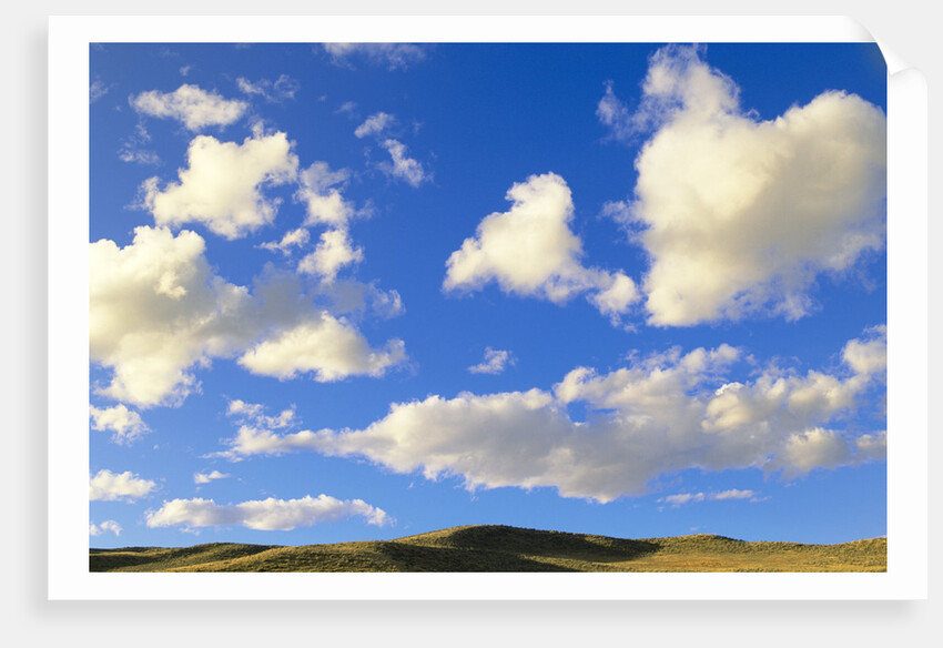 Cumulus Clouds Floating Above Prairie in the Fall by Anonymous