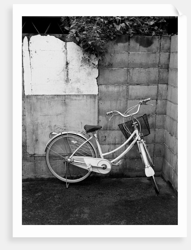 Bicycle in Courtyard by Anonymous