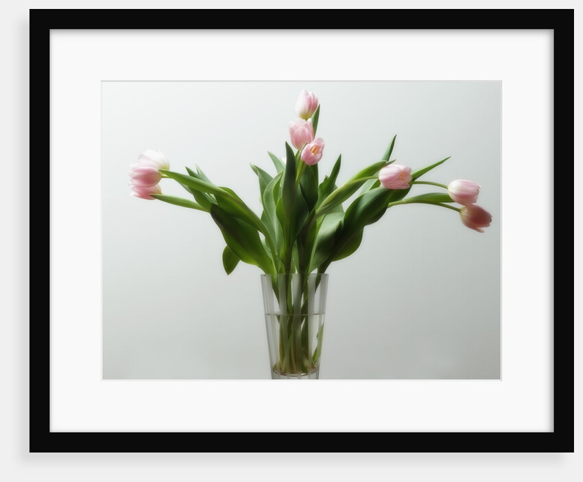 Flower Arrangement by Anonymous