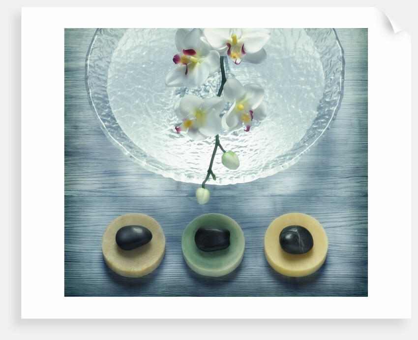 Bowl of Water and Soaps by Anonymous