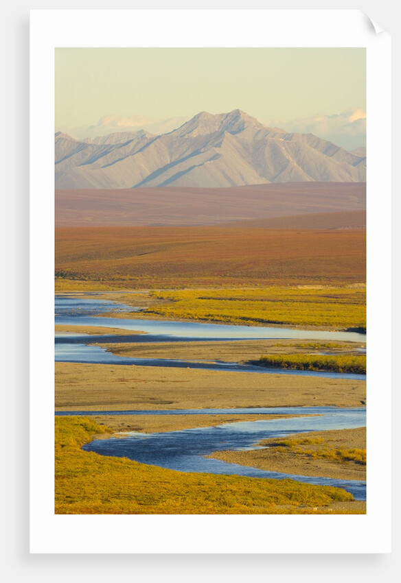 Mountains and Winding River in Tundra Valley by Anonymous