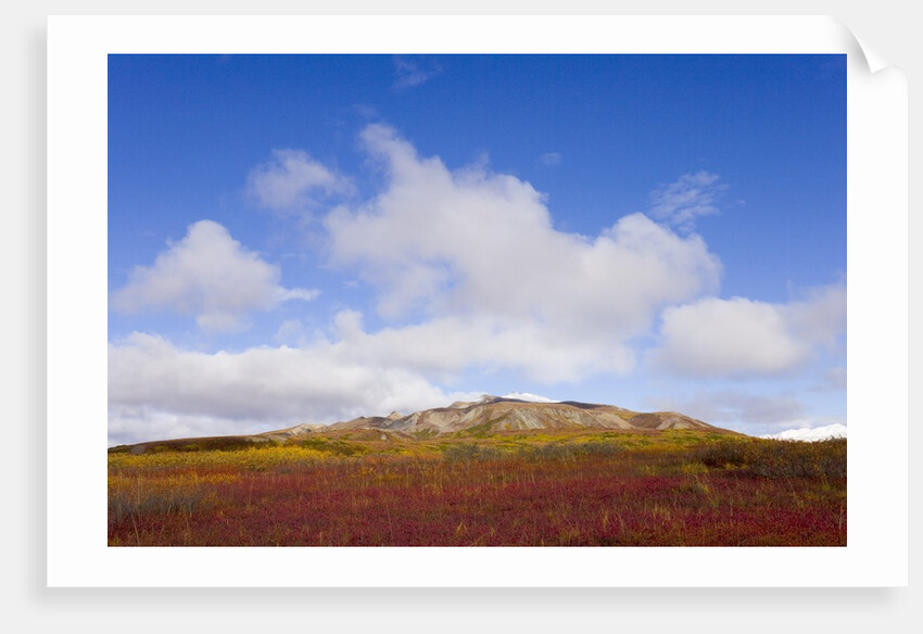 Mountain Range in Tundra Landscape by Anonymous