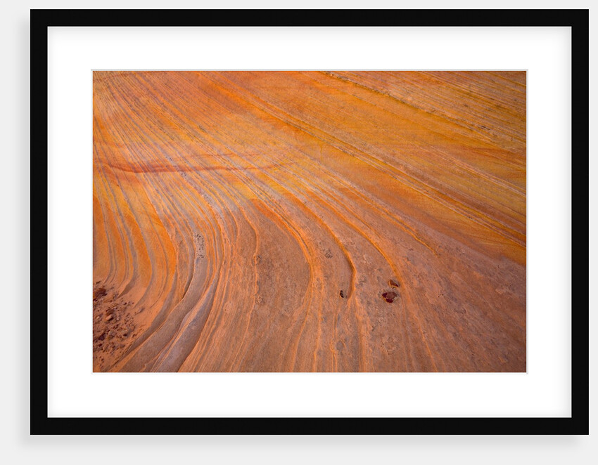 Grooves on Desert Rock by Anonymous