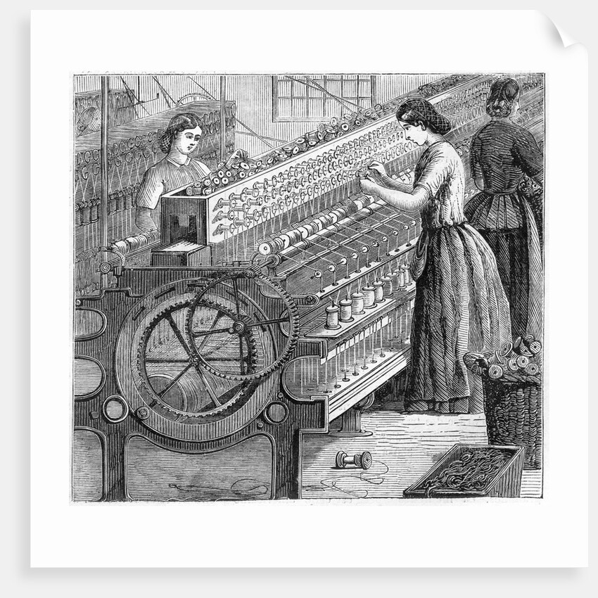 Illustration of the Manufacture of Cotton Thread by Anonymous