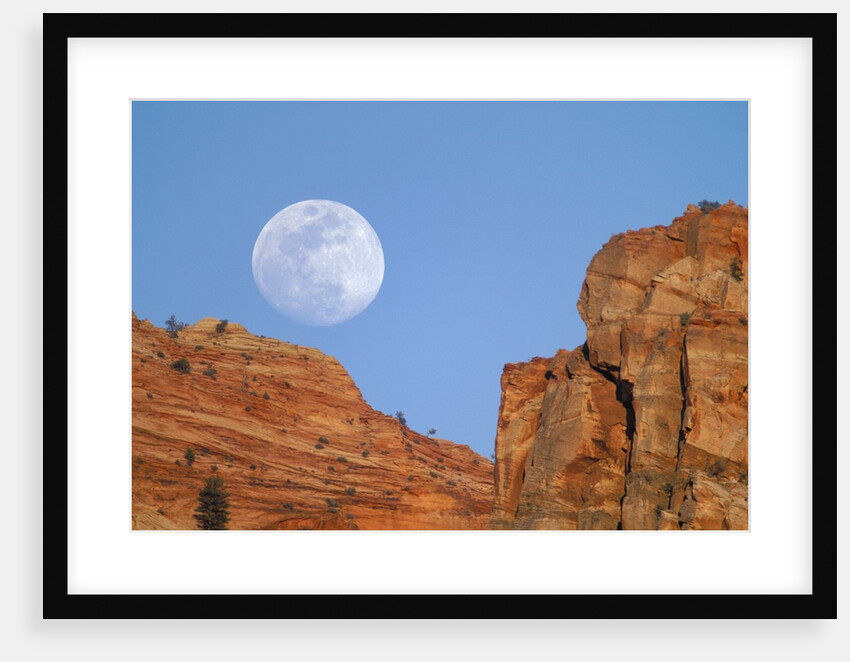 Moonrise at Zion National Park by Anonymous