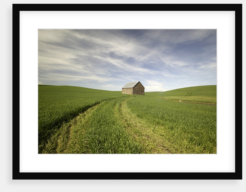 Old Barn in Wheat Field by Anonymous