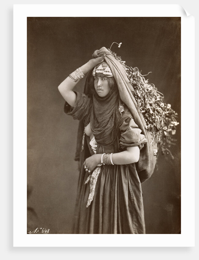 Middle Eastern Woman by Anonymous