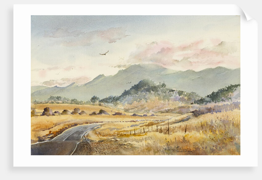 Jacksonville Road by LaVere Hutchings