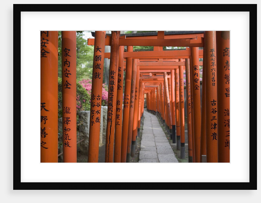 Red Arches Along Path to Nezu Shrine by Anonymous