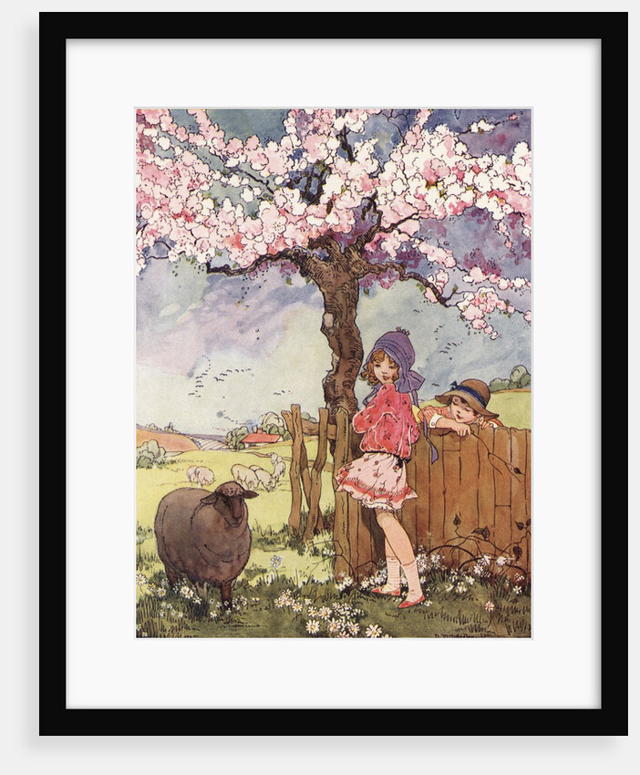 Baa, Baa! Black Sheep Illustration by Dorothy Wheeler