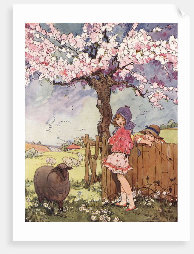 Baa, Baa! Black Sheep Illustration by Dorothy Wheeler