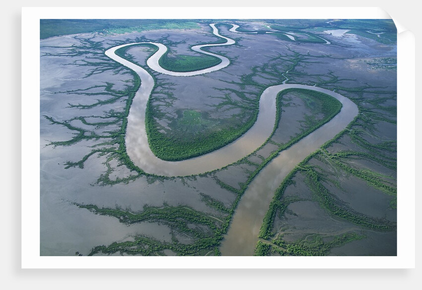 Meandering river in the Kimberley Region of Western Australia, aerial view by Anonymous