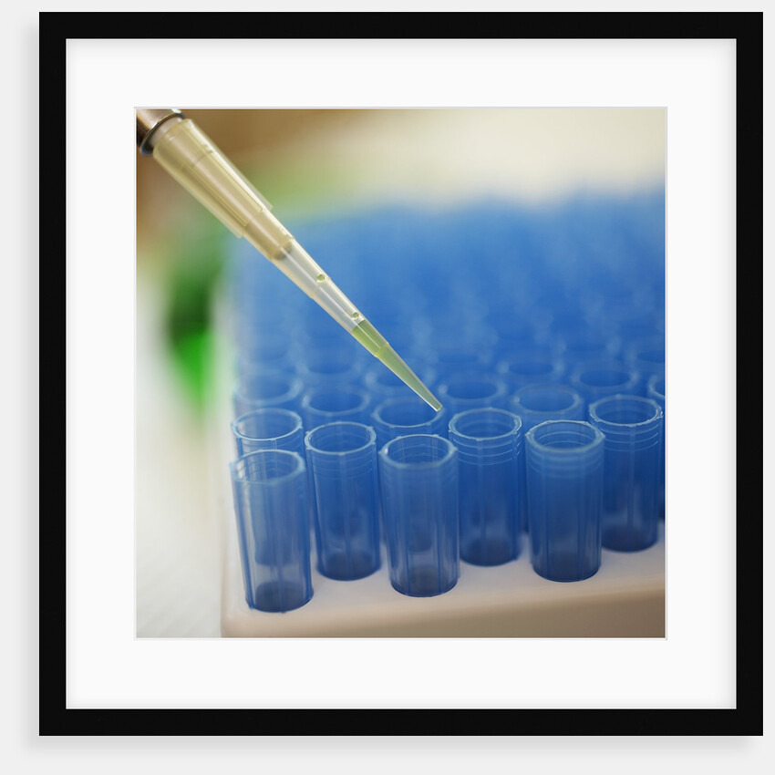 Test Tube Experiment by Anonymous